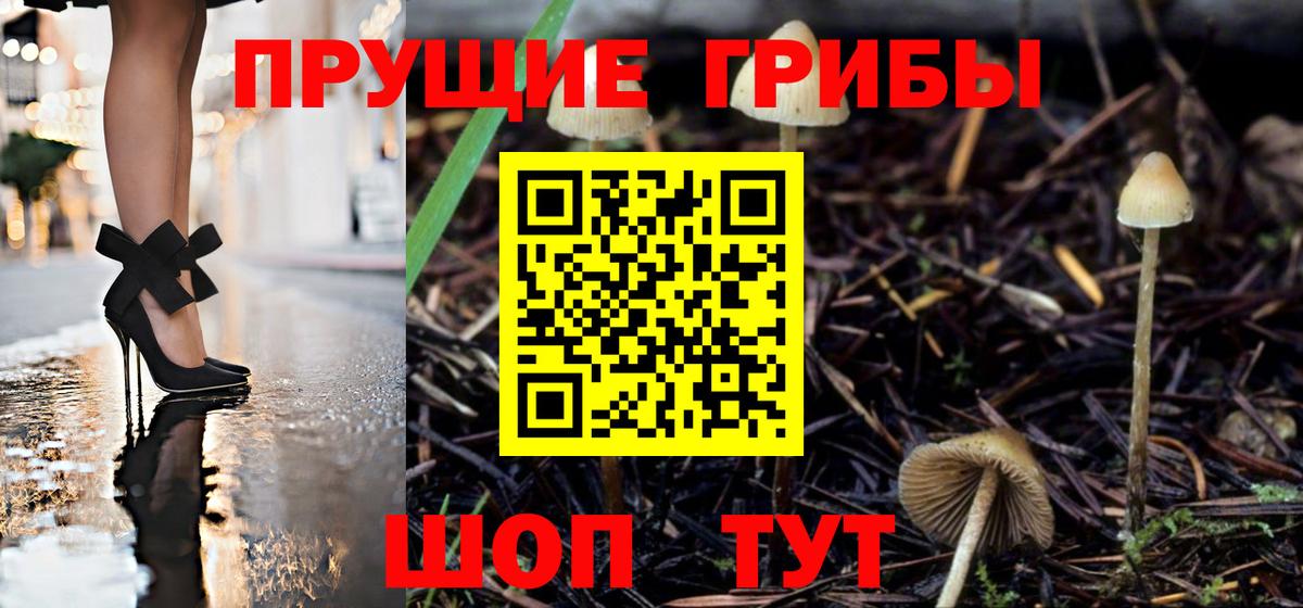 Похвистнево  Псилоцибиновые грибы MAGIC MUSHROOMS  Вход с VPN 